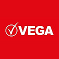Grupo Vega